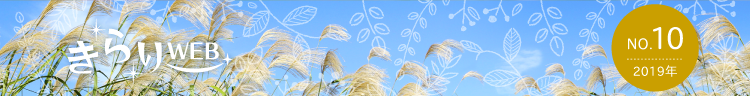 きらりweb
