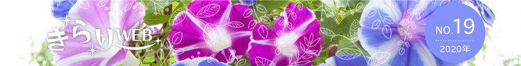 きらりweb