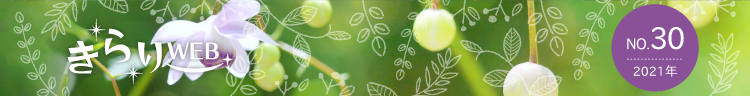 きらりweb