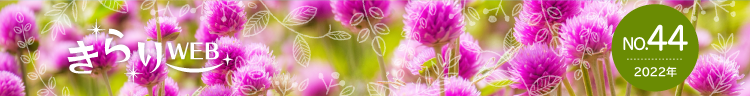 きらりweb