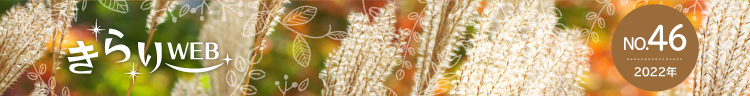 きらりweb