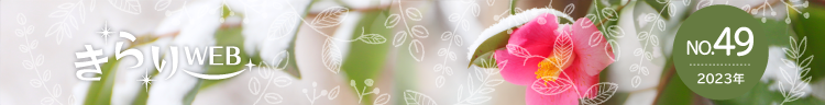 きらりweb