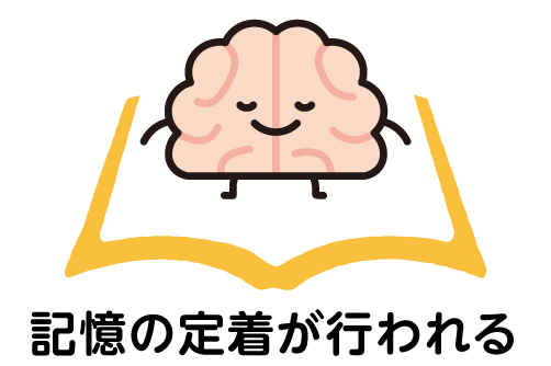 記憶の定着が行われる