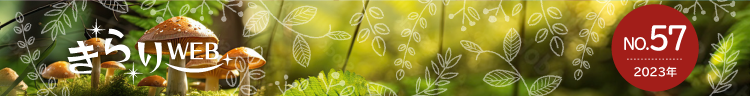 きらりweb