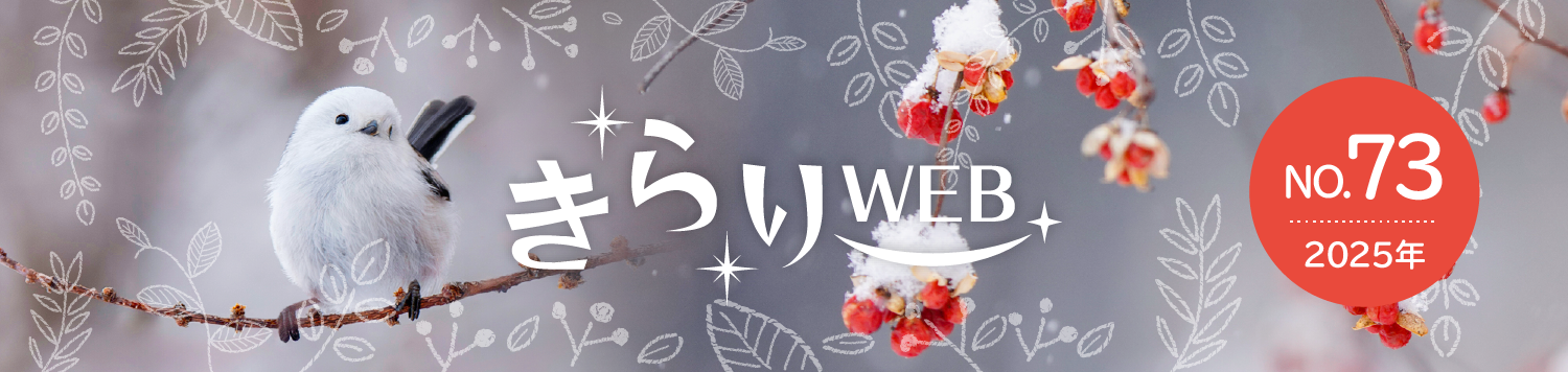 きらりweb