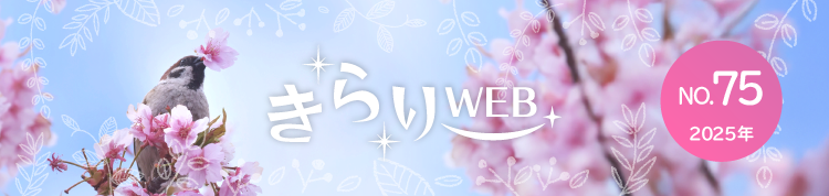 きらりweb