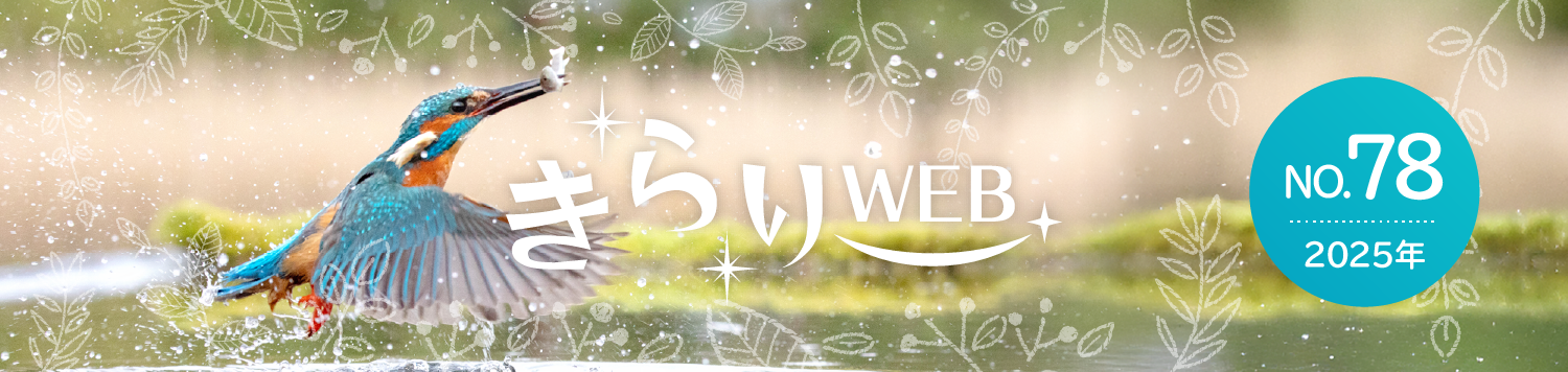きらりweb