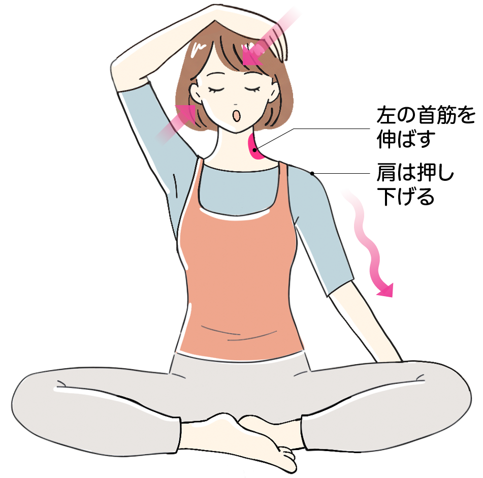 首ストレッチ②
