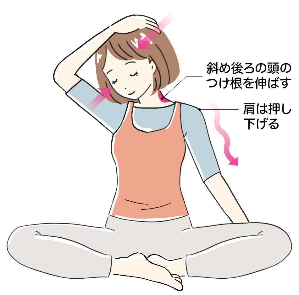 首ストレッチ③